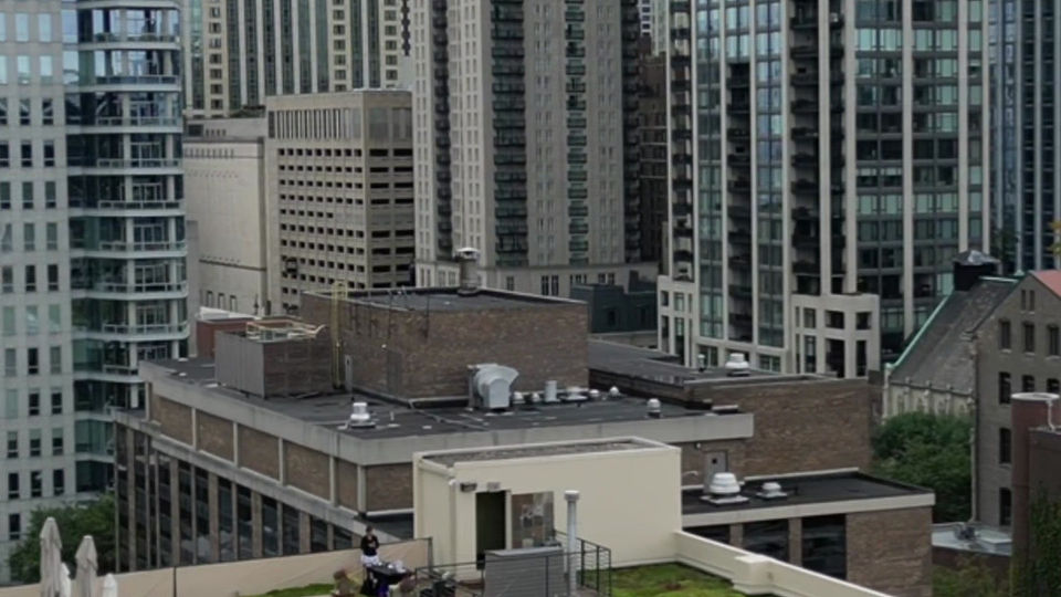 Movement by MK Rooftop